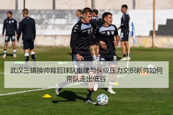 武汉三镇换帅背后球队重建与保级压力交织新帅如何带队走出低谷